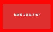卡斯罗犬是猛犬吗？
