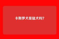 卡斯罗犬是猛犬吗？