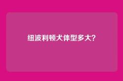 纽波利顿犬体型多大？