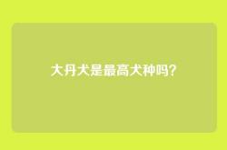 大丹犬是最高犬种吗？
