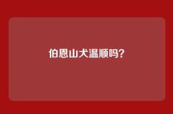 伯恩山犬温顺吗？