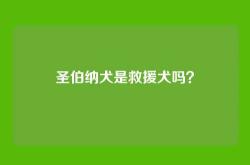 圣伯纳犬是救援犬吗？