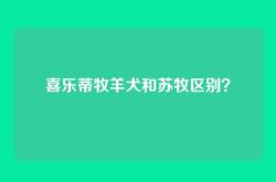 喜乐蒂牧羊犬和苏牧区别？