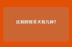 比利时牧羊犬有几种？