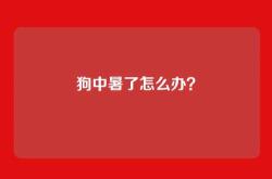 狗中暑了怎么办？