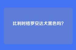 比利时格罗安达犬黑色吗？