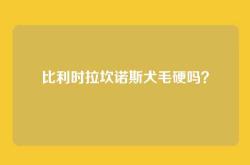 比利时拉坎诺斯犬毛硬吗？