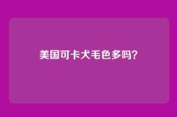 美国可卡犬毛色多吗？