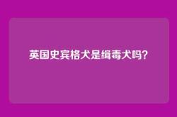 英国史宾格犬是缉毒犬吗？