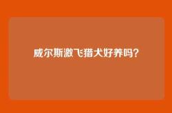 威尔斯激飞猎犬好养吗？