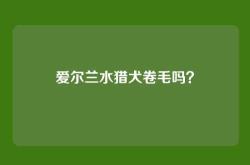 爱尔兰水猎犬卷毛吗？