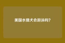 美国水猎犬会游泳吗？