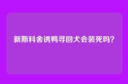 新斯科舍诱鸭寻回犬会装死吗？