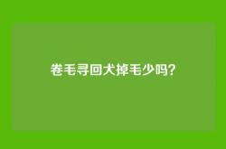 卷毛寻回犬掉毛少吗？