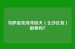切萨皮克湾寻回犬（乞沙比克）耐寒吗？