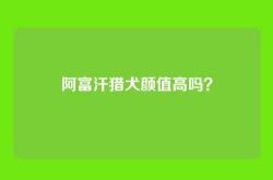 阿富汗猎犬颜值高吗？