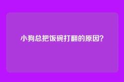 小狗总把饭碗打翻的原因？