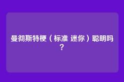 曼彻斯特梗（标准 迷你）聪明吗？
