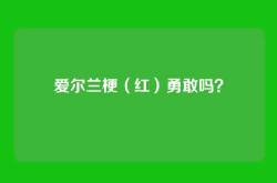 爱尔兰梗（红）勇敢吗？