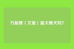 万能梗（艾里）最大梗犬吗？