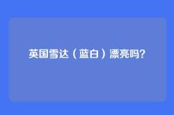 英国雪达（蓝白）漂亮吗？