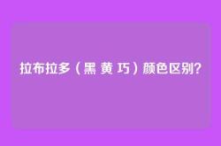 拉布拉多（黑 黄 巧）颜色区别？