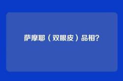 萨摩耶（双眼皮）品相？