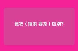 德牧（锤系 赛系）区别？