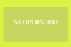 马犬（红马 黑马）颜色？