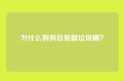 为什么狗狗总爱翻垃圾桶？