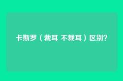 卡斯罗（裁耳 不裁耳）区别？