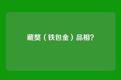 藏獒（铁包金）品相？