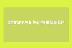 宠物狗突然拒绝进食是何原因？