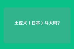 土佐犬（日本）斗犬吗？