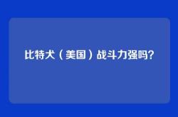 比特犬（美国）战斗力强吗？