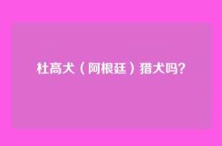 杜高犬（阿根廷）猎犬吗？