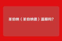 圣伯纳（圣伯纳德）温顺吗？
