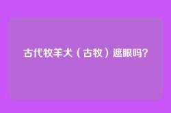 古代牧羊犬（古牧）遮眼吗？