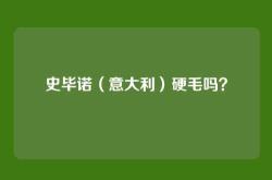 史毕诺（意大利）硬毛吗？