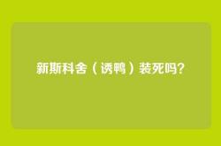 新斯科舍（诱鸭）装死吗？
