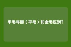 平毛寻回（平毛）和金毛区别？