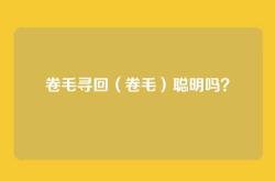 卷毛寻回（卷毛）聪明吗？