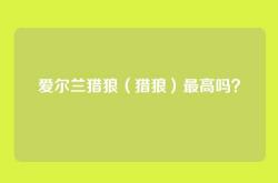 爱尔兰猎狼（猎狼）最高吗？