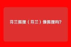 芬兰狐狸（芬兰）像狐狸吗？