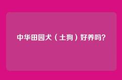中华田园犬（土狗）好养吗？