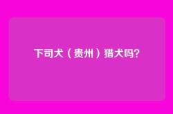 下司犬（贵州）猎犬吗？