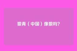 狼青（中国）像狼吗？