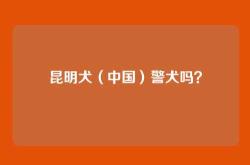 昆明犬（中国）警犬吗？