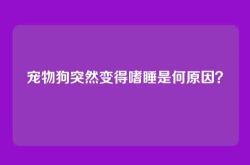 宠物狗突然变得嗜睡是何原因？