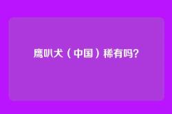 鹰叭犬（中国）稀有吗？